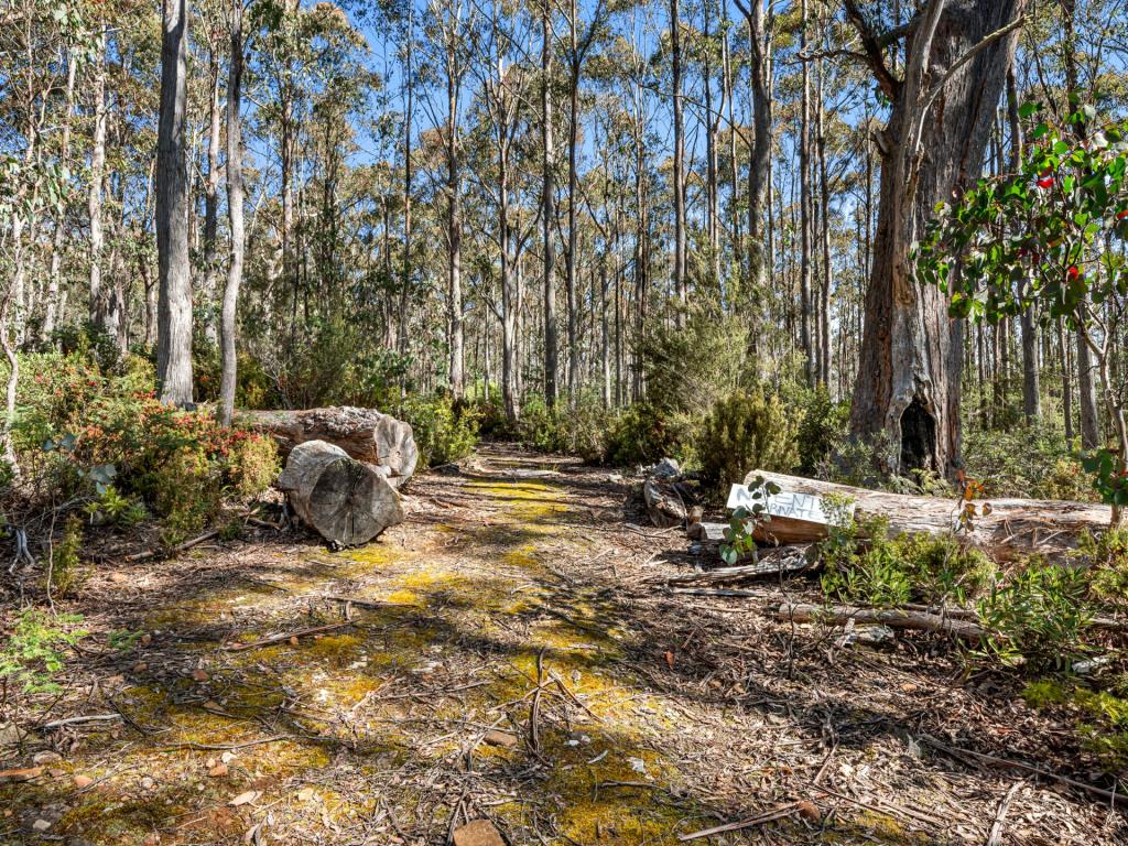 Lot 1 Jefferys Trk, Lachlan, TAS 7140
