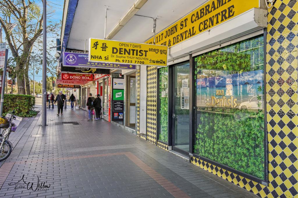2/117 JOHN ST, CABRAMATTA, NSW 2166