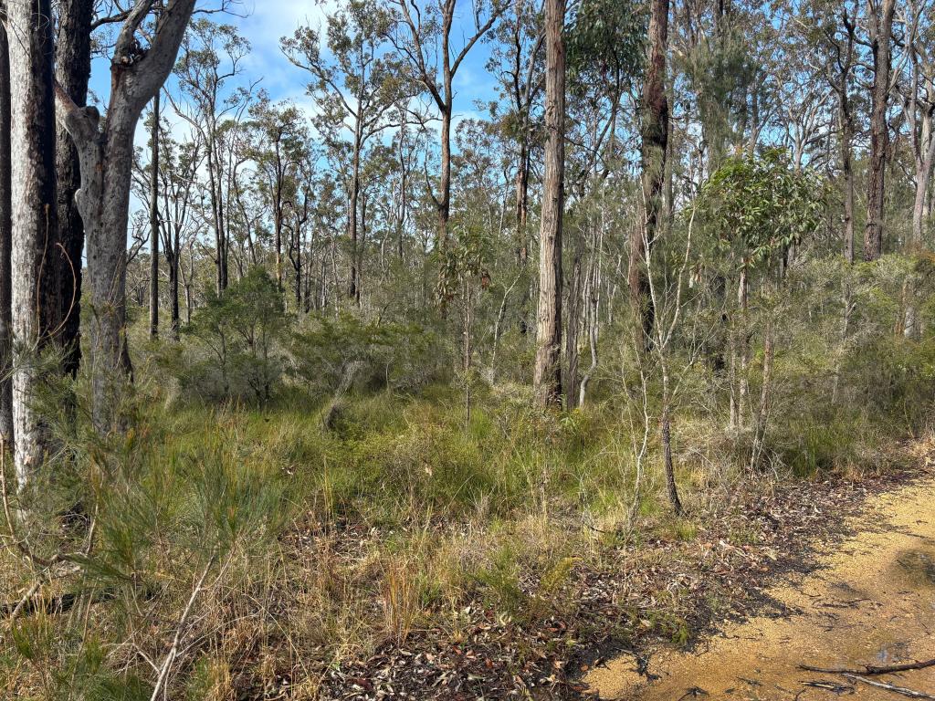 Lot 3040 Ballina Cres, North Arm Cove, NSW 2324