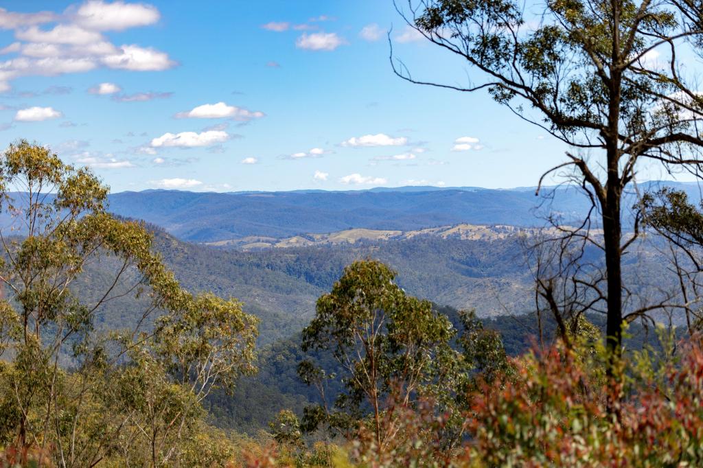 'Wilds' Enfield Range Rd, Cells River, NSW 2424