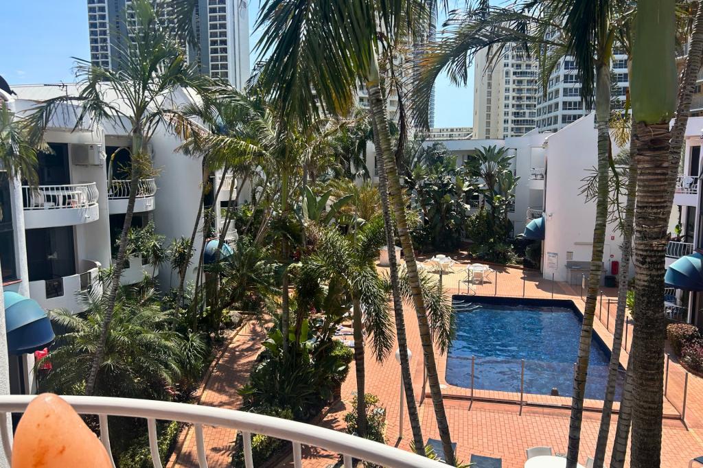 244/31 Orchid Ave, Surfers Paradise, QLD 4217