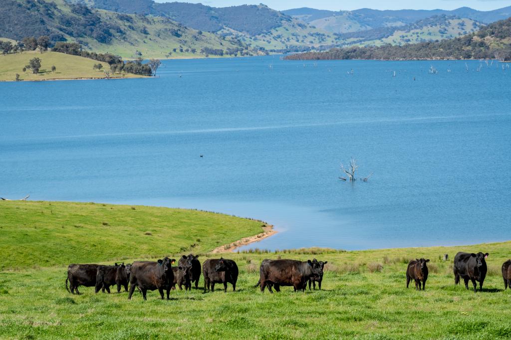'Inglebrae'/1523 Murray River Rd, Talgarno, VIC 3691