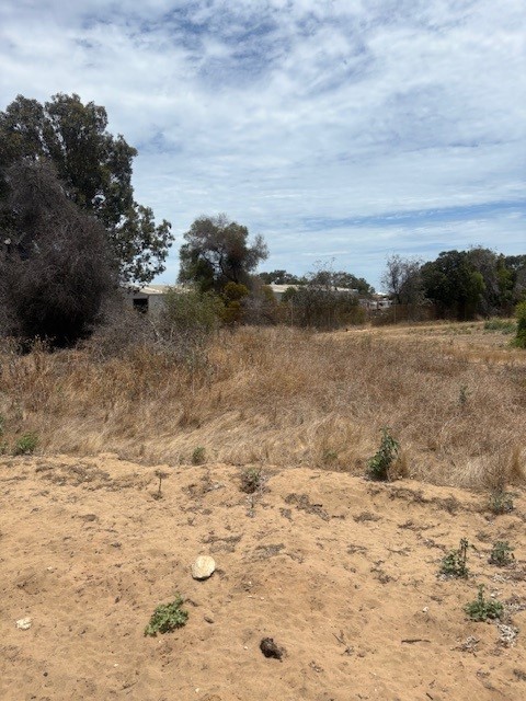 125 Alexander Dr, Glenfield, WA 6532