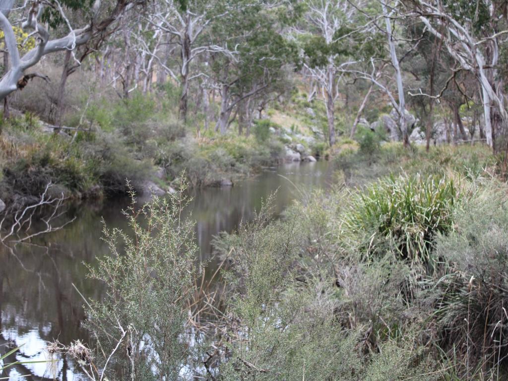 1521 Morven Rd, Dundee, NSW 2370