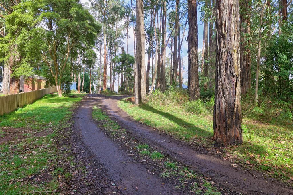 29 Maisey Rd, Gembrook, VIC 3783