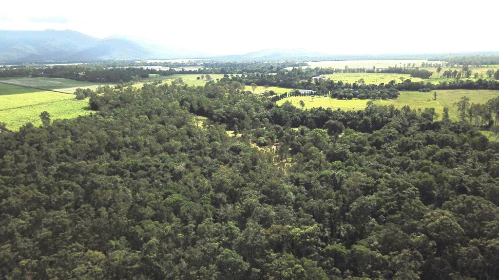 Lot 4 Ellerbeck Rd, Carruchan, QLD 4816