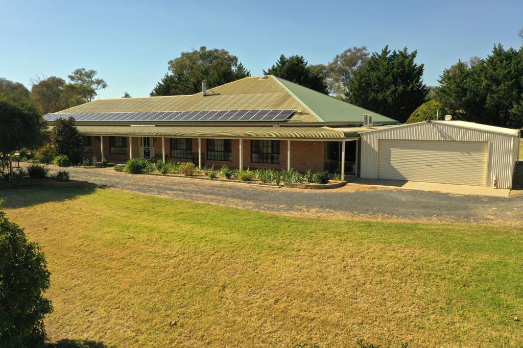 426 Back Creek Rd, Young, NSW 2594