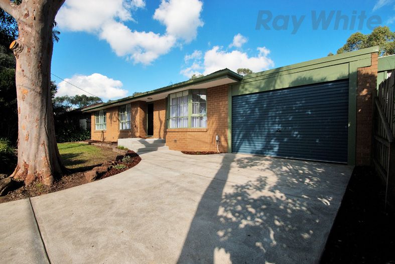 101 Allambanan Dr, Bayswater North, VIC 3153