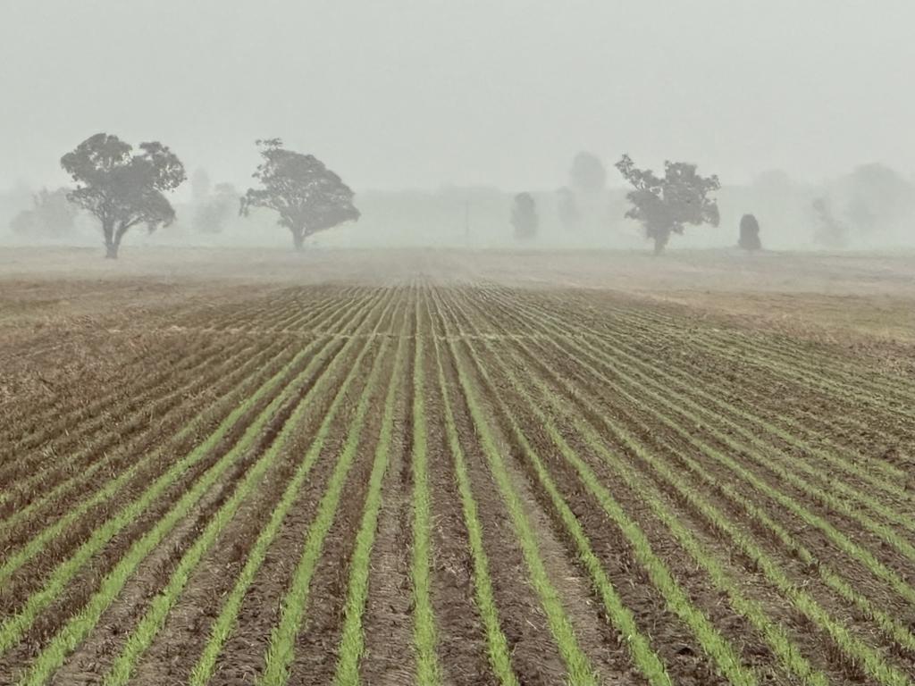 LOT 1 TOOTOOL MITTAGONG RD, TOOTOOL, NSW 2655