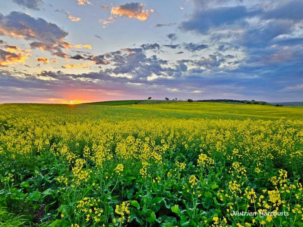 LOT 72 TEAKLE RD, BOWES, WA 6535