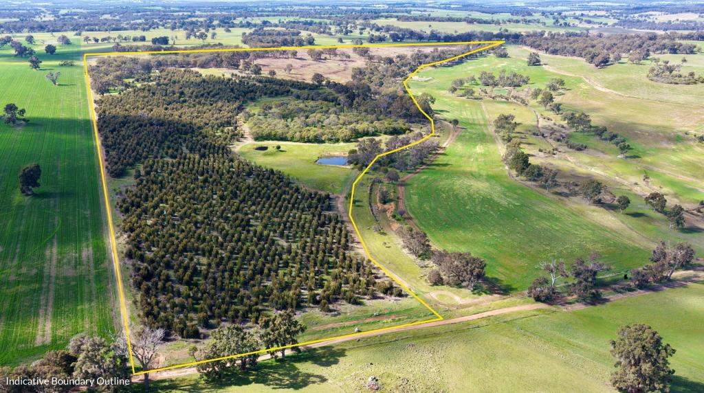 Lot 100 Area Rd, Dinninup, WA 6244