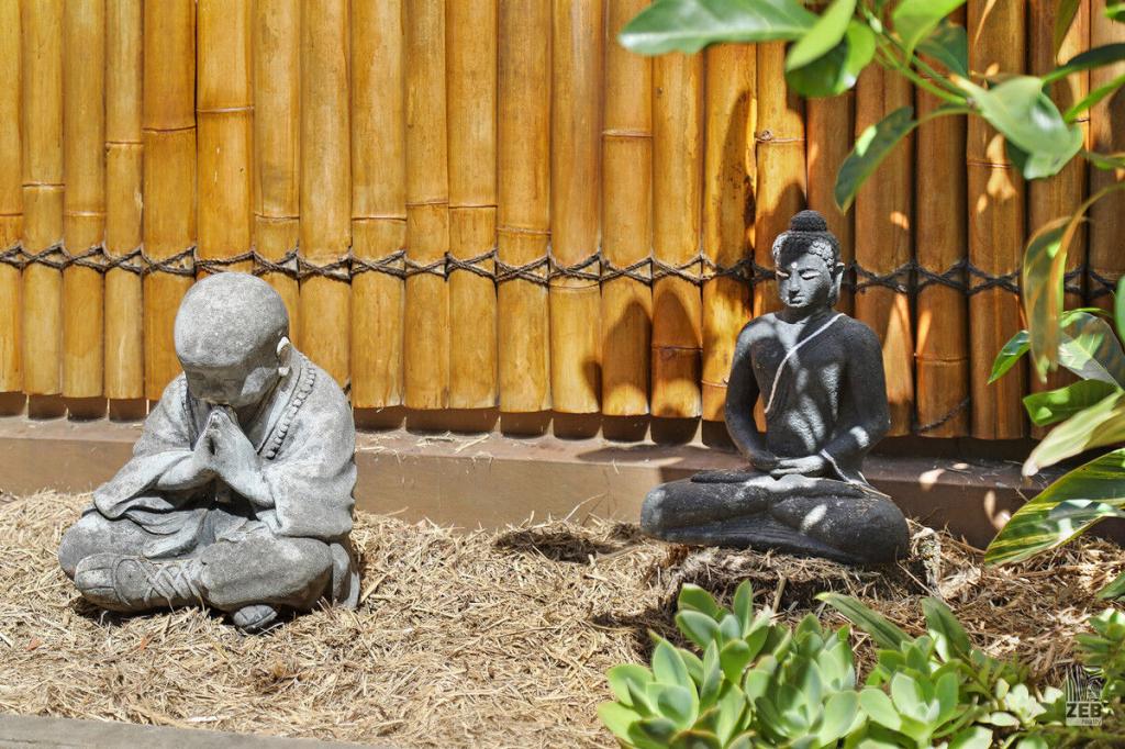 4/596 David Low Way, Pacific Paradise, QLD 4564