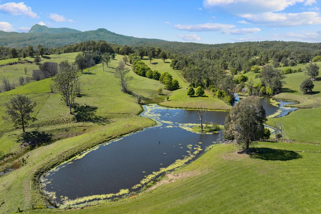 703 Brays Creek Rd, Brays Creek, NSW 2484