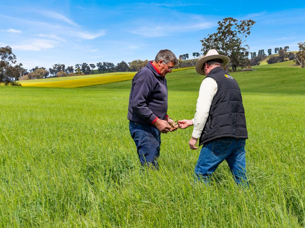 Part/2056 & 2154 Benalla-Yarrawona Rd, Bungeet West, VIC 3726