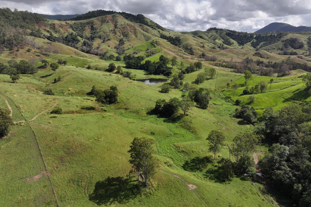 258 HOLDS RD, YALBOROO, QLD 4741