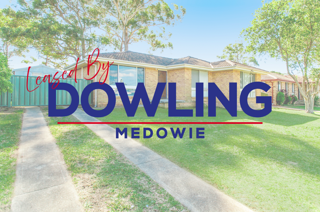 105 Ferodale Rd, Medowie, NSW 2318
