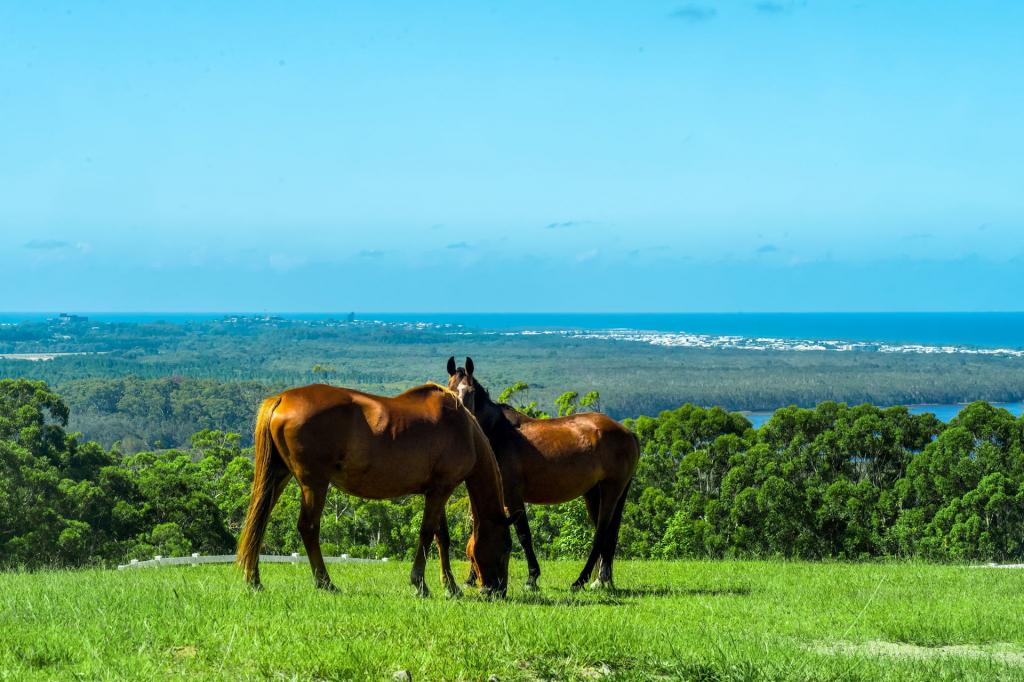 Emerald Mountain View, Tanglewood, NSW 2488