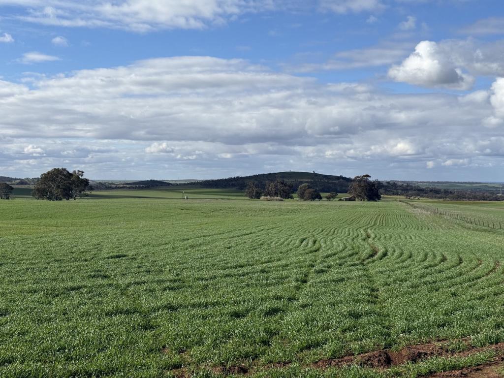 Lot 141 Eudunda Rd, Frankton, SA 5374