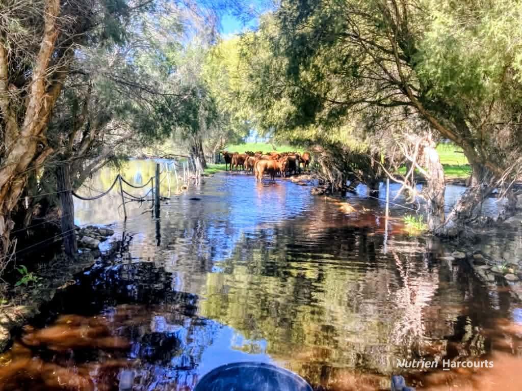 271 Mayfield Rd, Beermullah, WA 6503