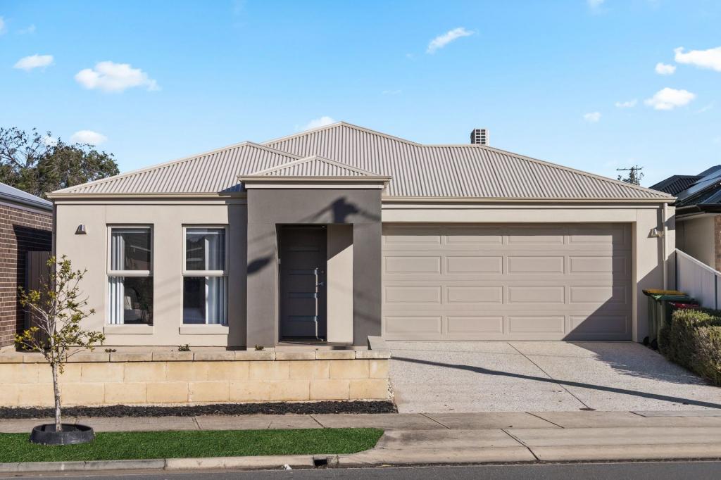 44a Harvey Ave, Netley, SA 5037