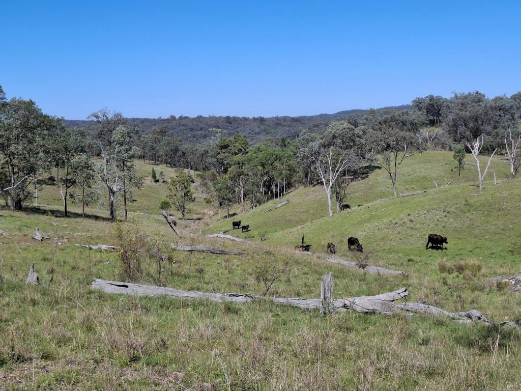 Lot 14 Silver Spur Redgate Rd, Silver Spur, QLD 4385