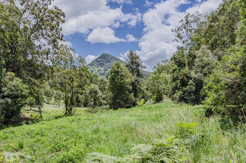 270 Zara Rd, Zara, NSW 2484