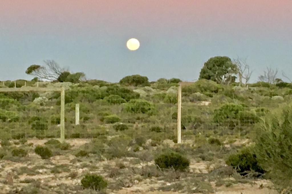 2285 COORABIE RD, FOWLERS BAY, SA 5690