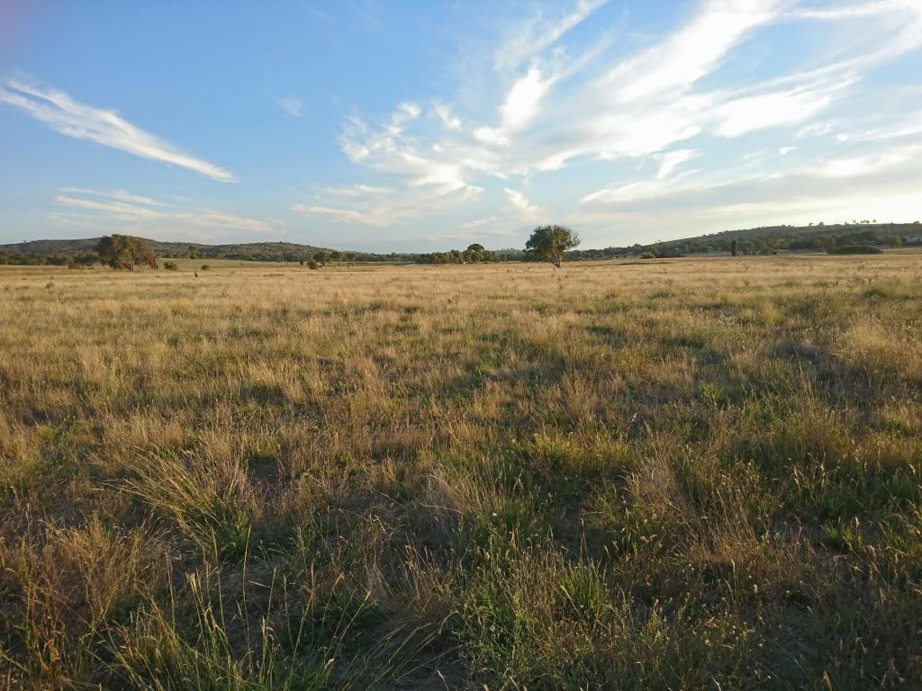 Lot 27 Walsh'S Rd, Dalton, NSW 2581