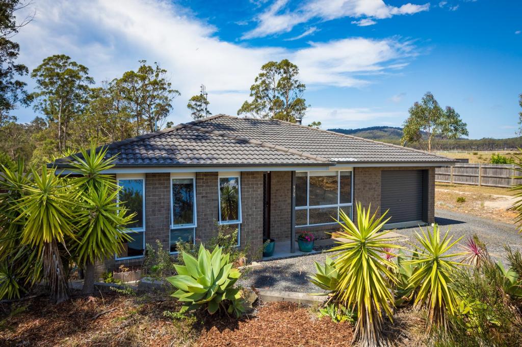 175 SHADY LANE, WALLAGOOT, NSW 2550