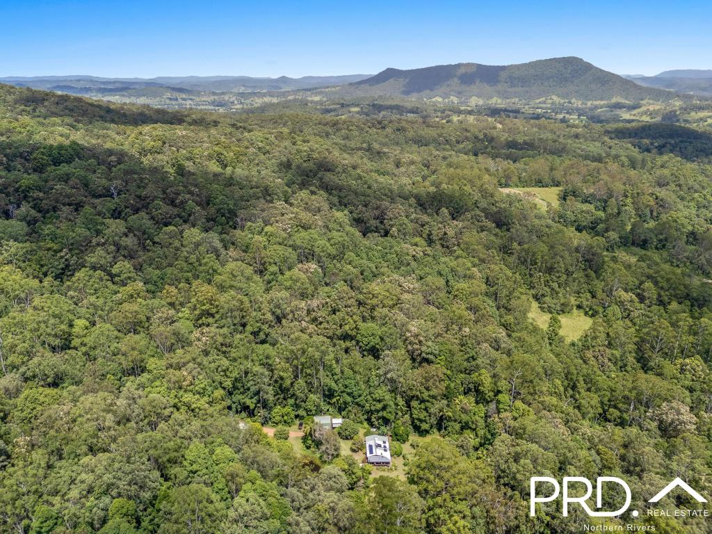 247 Davis Rd, Green Pigeon, NSW 2474