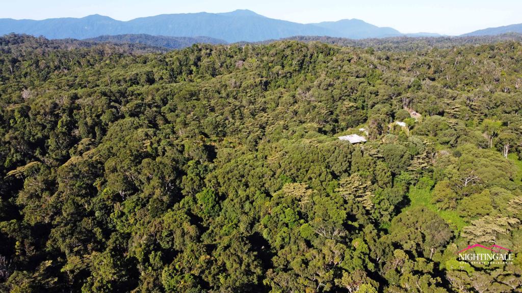 499 Old Cairns Trk, Butchers Creek, QLD 4885