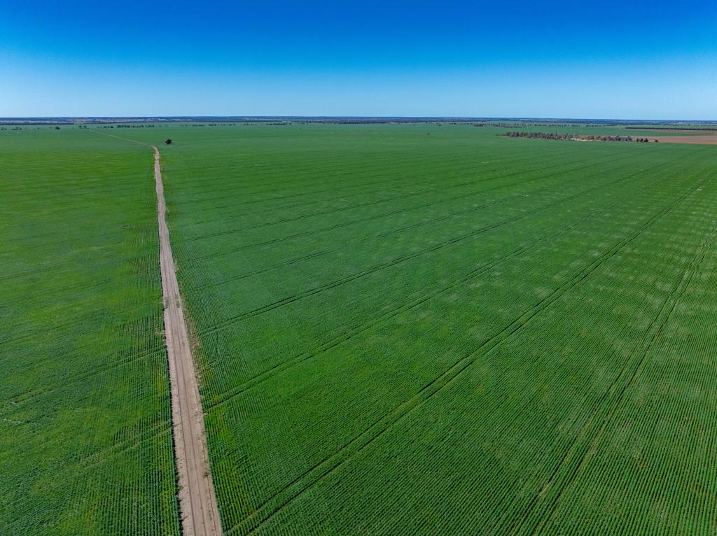 6210 Carnarvon Hwy, Thallon, QLD 4497