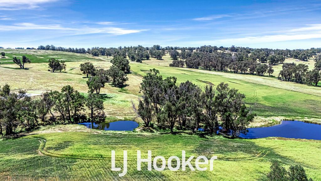 Lot 1 On Dp 426021/ Bridgetown - Boyup Brook Rd, Boyup Brook, WA 6244