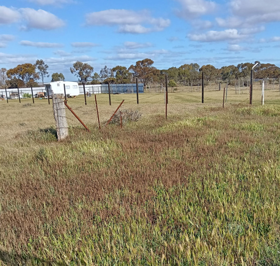 134 Mitchell St, Terowie, SA 5421