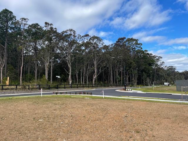 31 Gardenia Dr, Medowie, NSW 2318