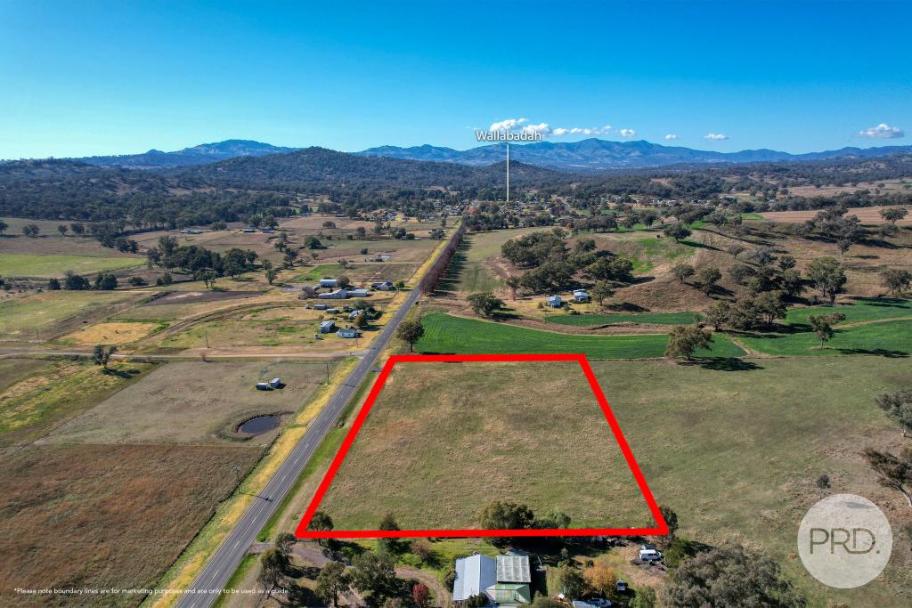 141 Wallabadah Rd, Wallabadah, NSW 2343