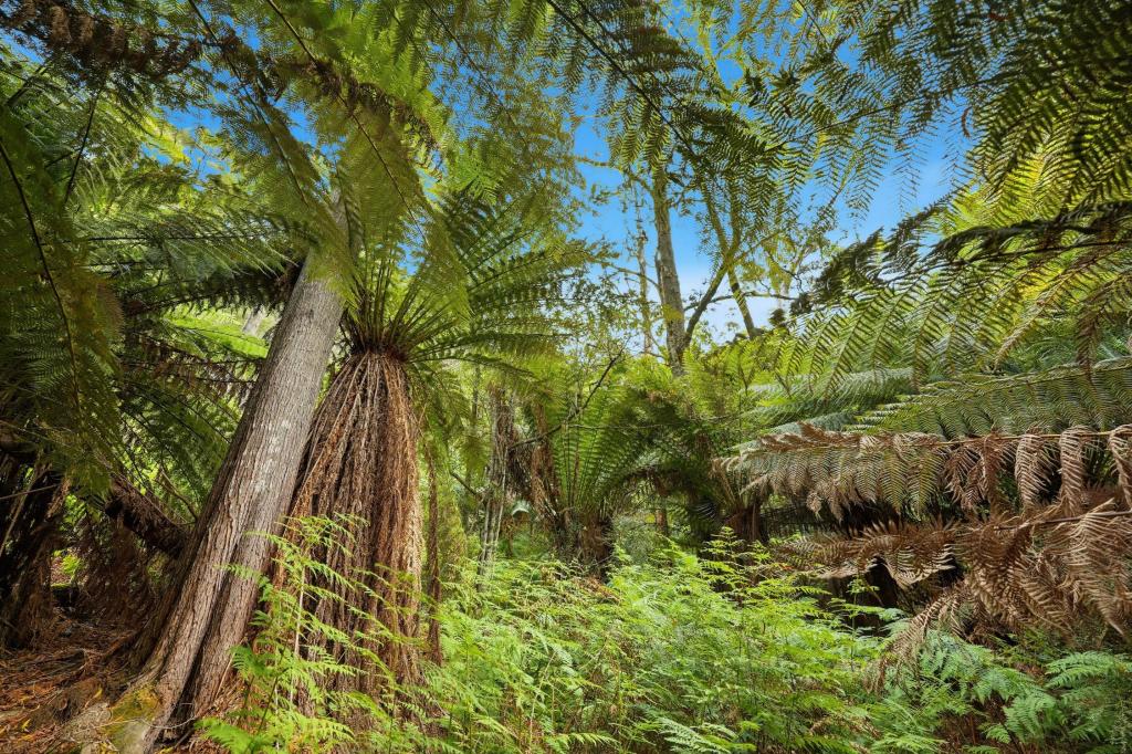 107 Wielangta Rd, Kellevie, TAS 7176