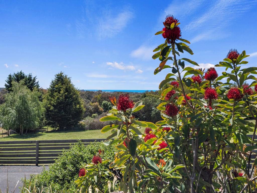 61 GUMBOWIE DR, PORT SORELL, TAS 7307