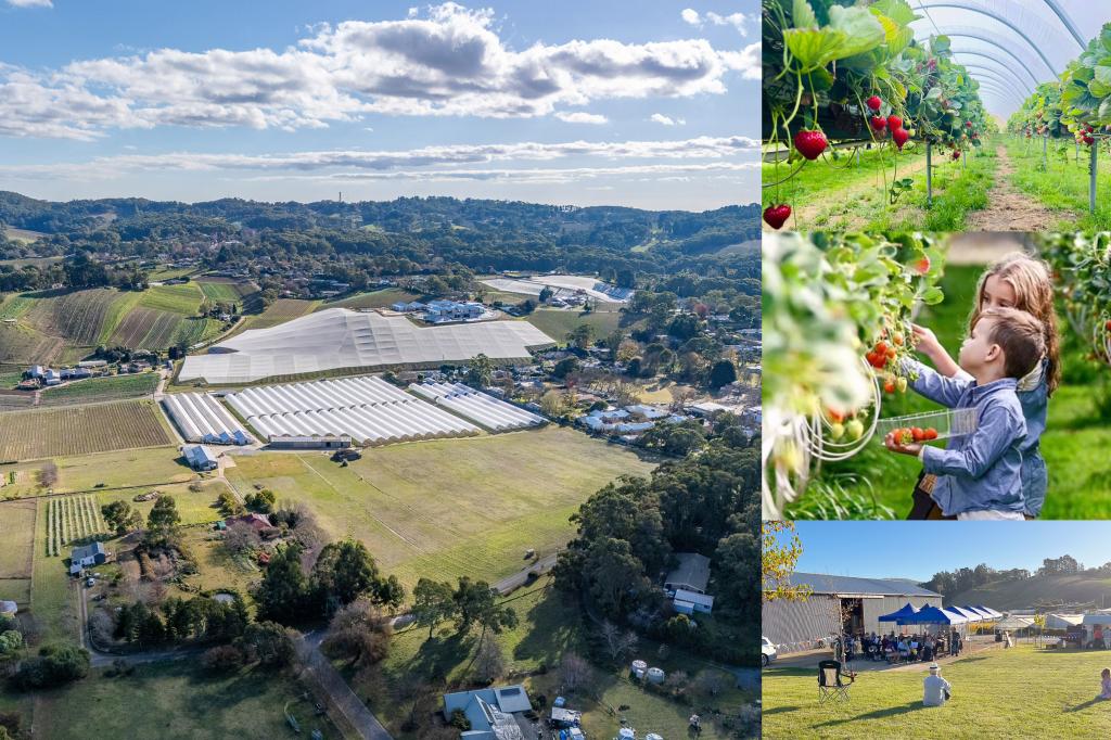 60 Swamp Rd, Uraidla, SA 5142