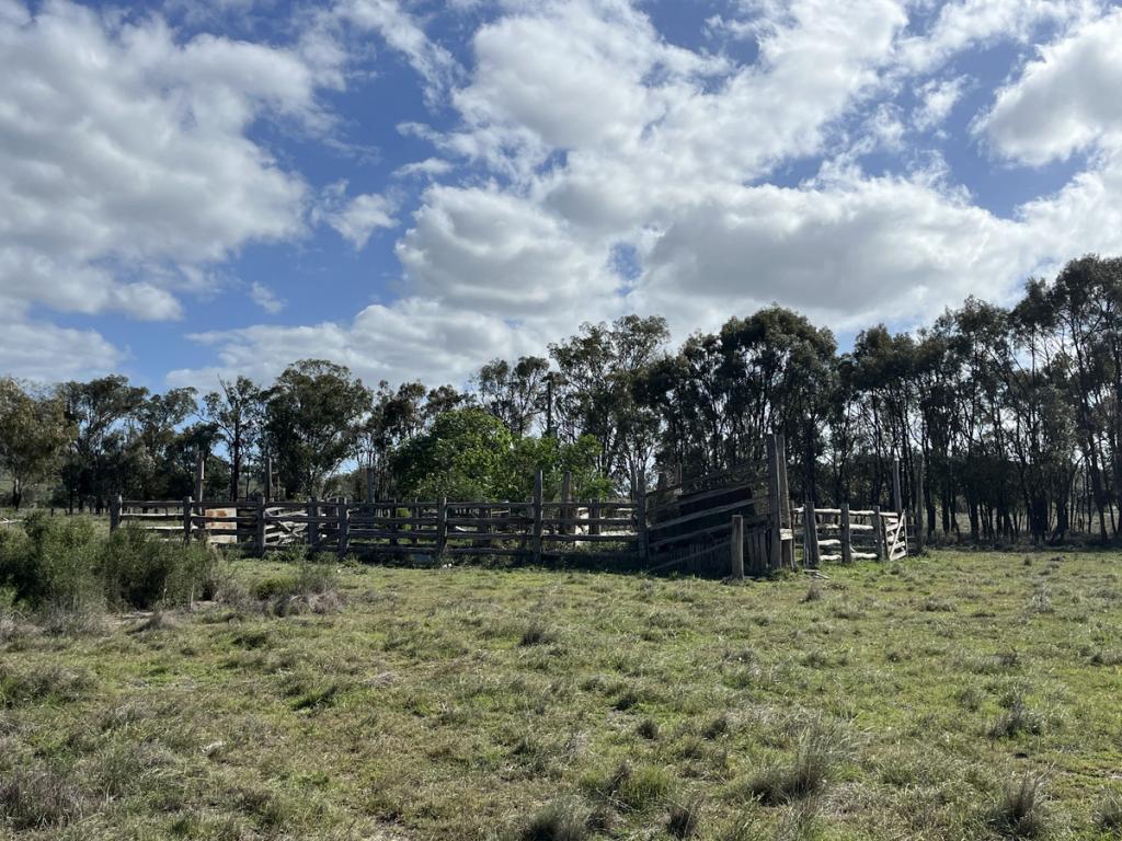 LOT 98 FEATHERSTONE RD, MARMOR, QLD 4702