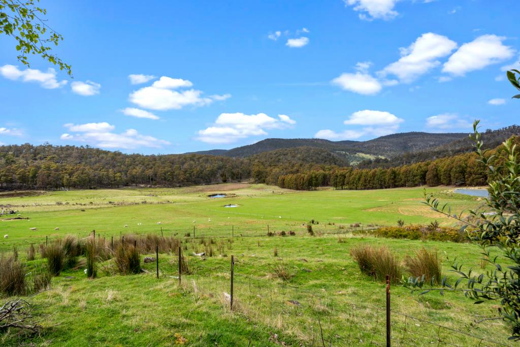 523 YARLINGTON RD, COLEBROOK, TAS 7027