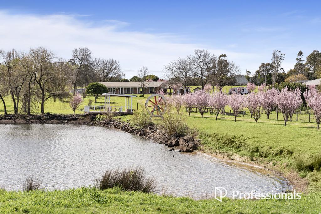 4 Tarrawarra Rd, Coldstream, VIC 3770