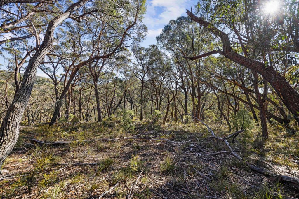 976 Mares Forest Rd, Wombeyan Caves, NSW 2580