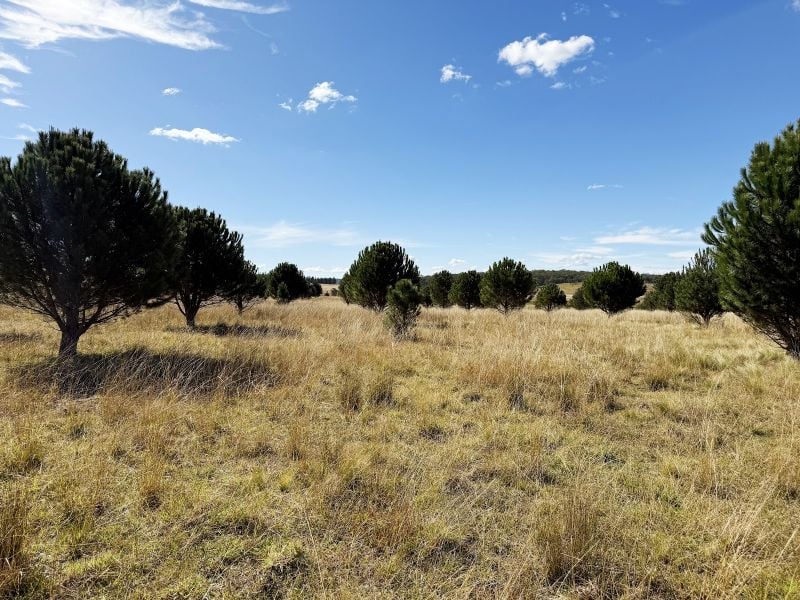 609 Jacqua Rd, Windellama, NSW 2580