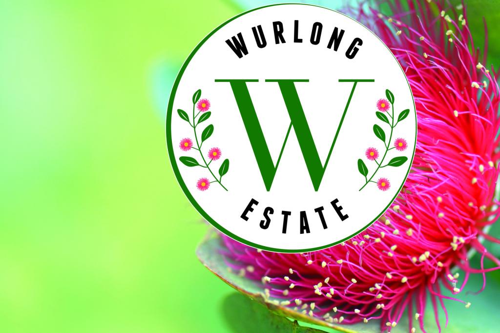 Lot 6 Wurlong Dr, Gol Gol, NSW 2738