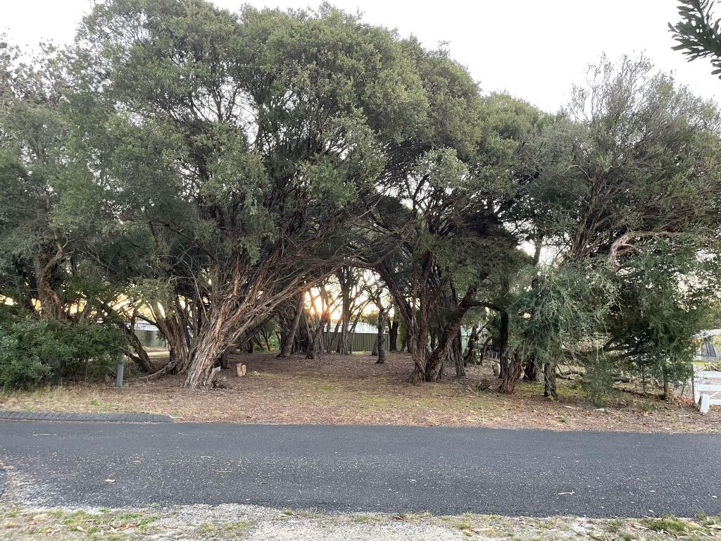 31 CARROLL ST, LOCH SPORT, VIC 3851