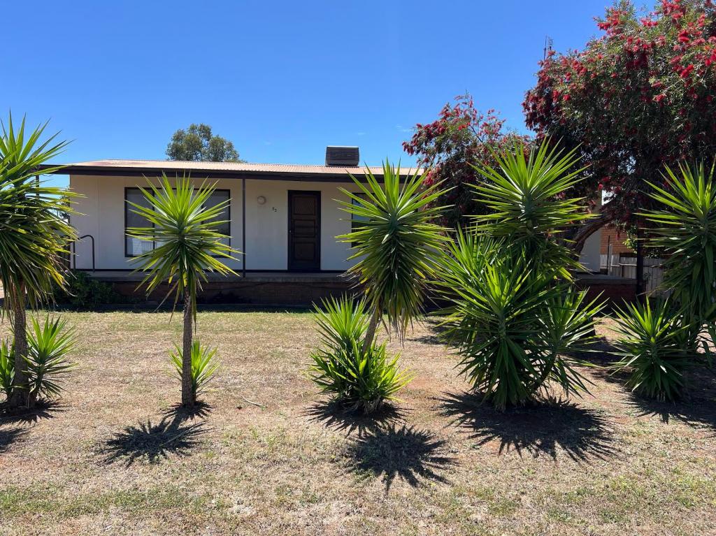 53 Gilbert St, Wyalong, NSW 2671