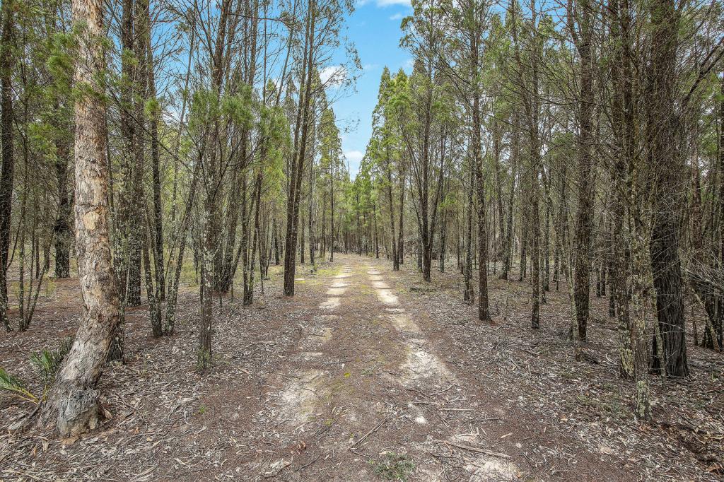 1393 Spring Creek Rd, Yarrawonga, NSW 2850