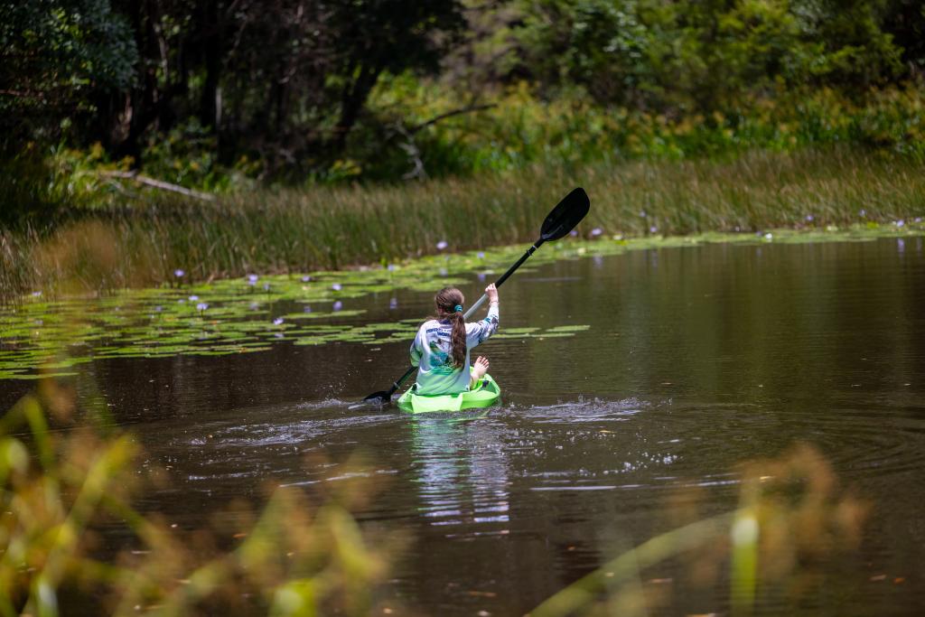 272 Ringtail Creek Rd, Ringtail Creek, QLD 4565