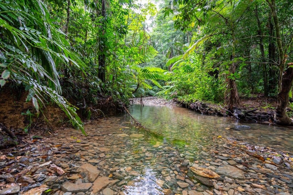 123 Ironbark Road, Diwan, Daintree, QLD 4873